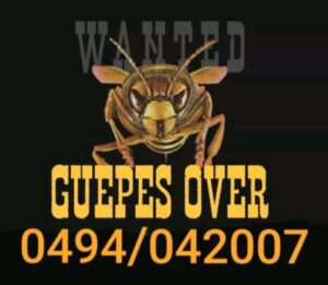 guepes over