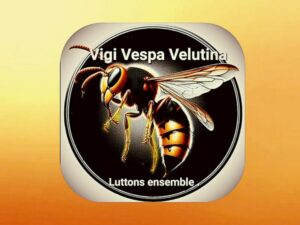 Vigi Vespa Velutina