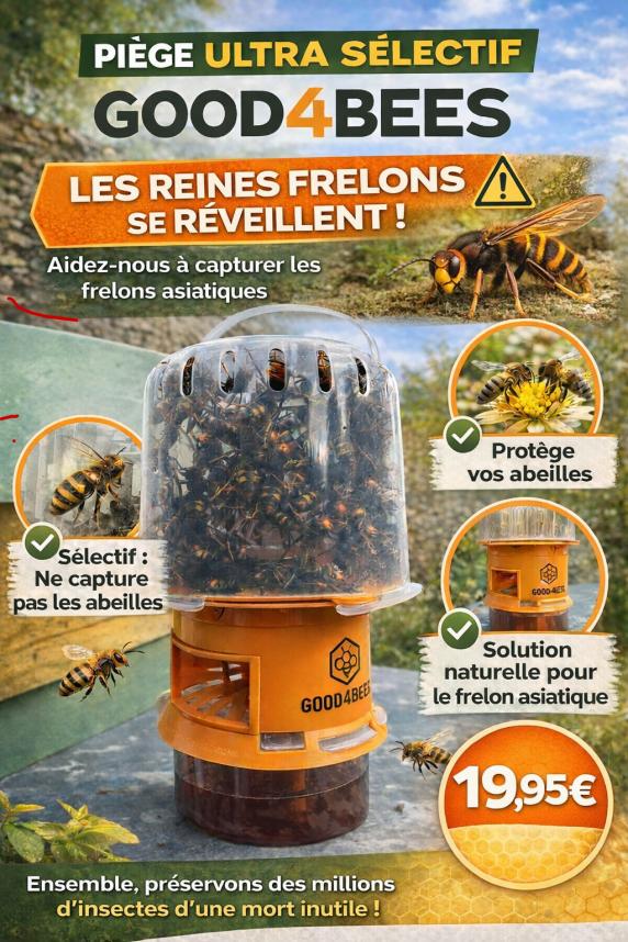 piège à frelons good 4 bees